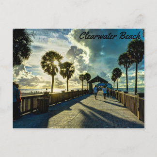Clearwater Beach, Florida Postcard
