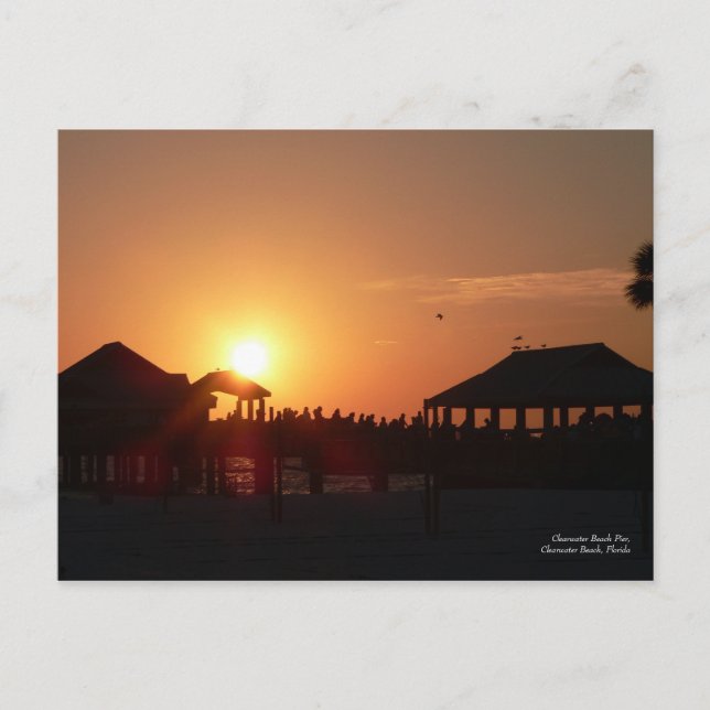 Clearwater Beach Pier Postcard (Front)