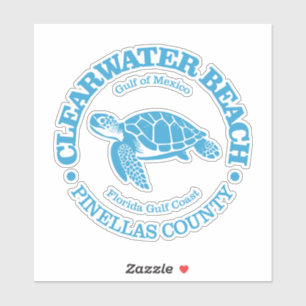 Clearwater Beach (sea turtle)