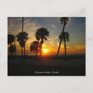 Clearwater Beach Sunset Postcard