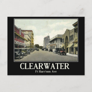 Clearwater FL, Florida, Vintage Postcard
