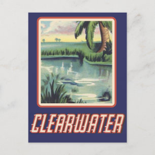 Clearwater FL Postcard