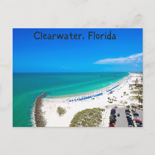 clearwater florida souvenir postcard (Front)