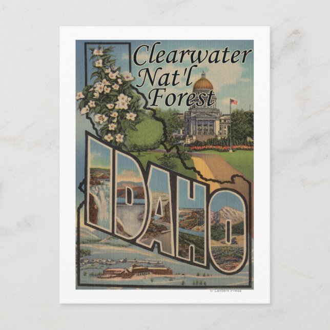 Clearwater Nat'l Forest, Idaho Postcard (Front)