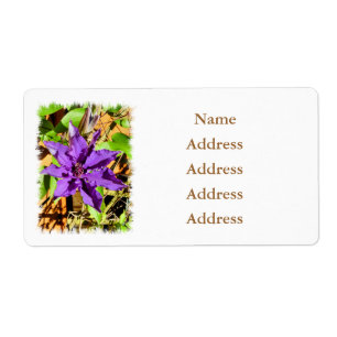 CLEMATIS