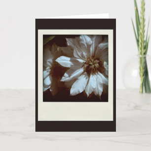 Clematis 1 Condolences Sympathy Note card