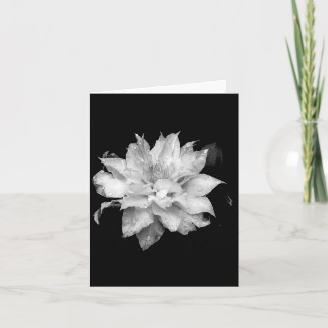 Clematis 2 Blank Note Card Condolences Sympathy (Front)