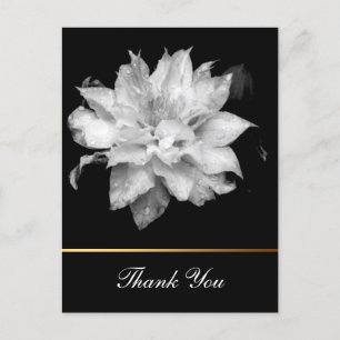 Clematis 3c Floral B&W Photo Sympathy Thank You Postcard