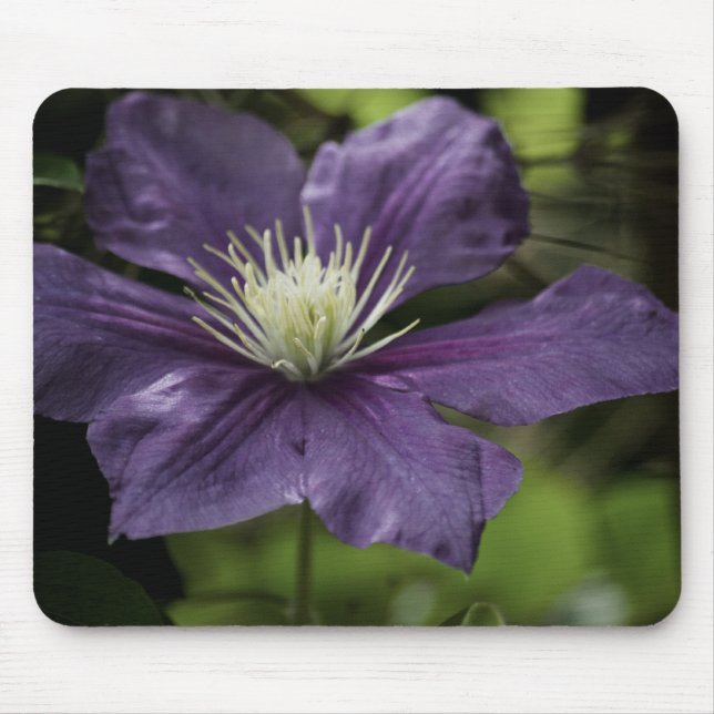 Clematis 8510 Mousepad (Front)