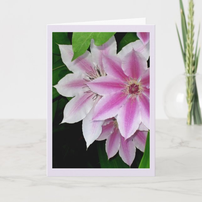Clematis Birthday Card (Front)