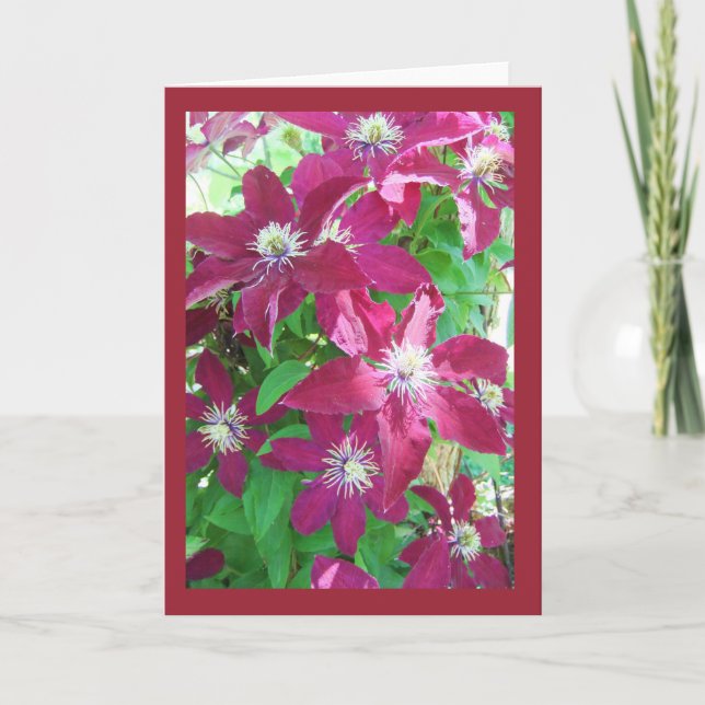 Clematis Blank Note Card (Front)