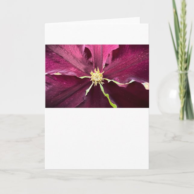 Clematis, Card (Front)