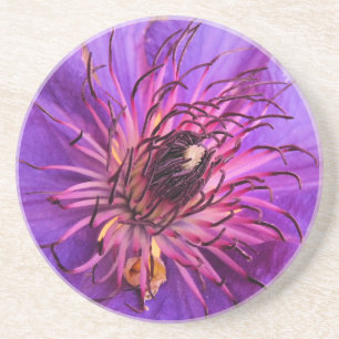 CLEMATIS COASTER