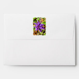 CLEMATIS ENVELOPES