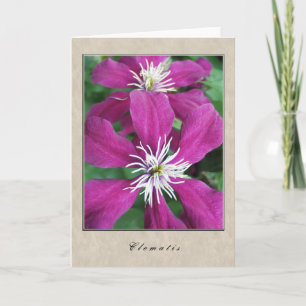 Clematis - Floral Series Card