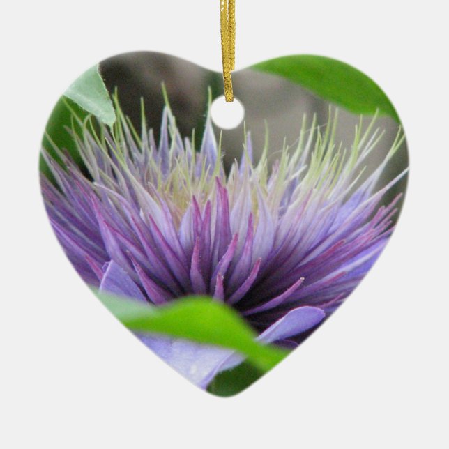 Clematis Flower Blossom Ornament (Front)