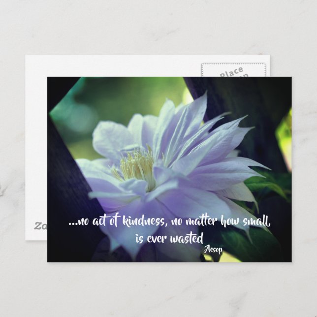 Clematis Flower Kindness Inspirational Quote  Postcard (Front/Back)