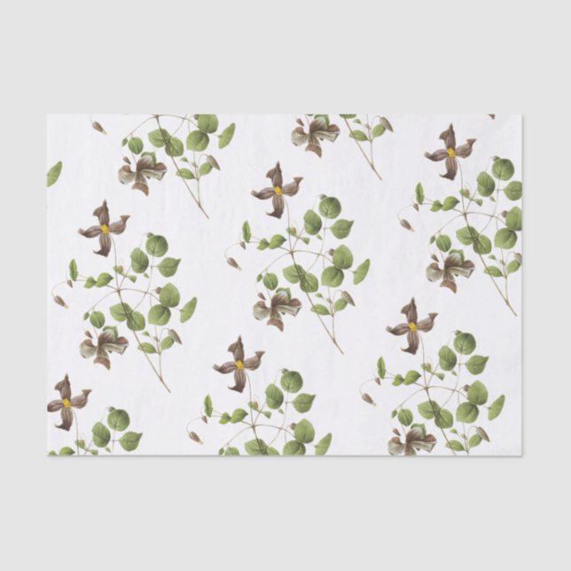 Clematis Flower Pattern Tissue Paper (Front)