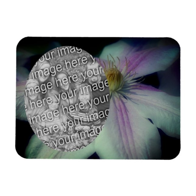 Clematis Flower Petals Frame Create Your Own Photo Magnet (Horizontal)