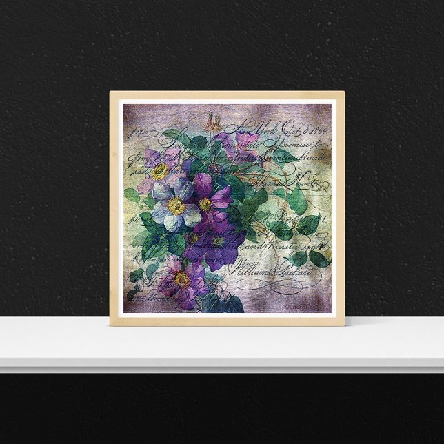 Clematis Flowering Vine Handwriting Grunge Poster (Creator Uploaded)