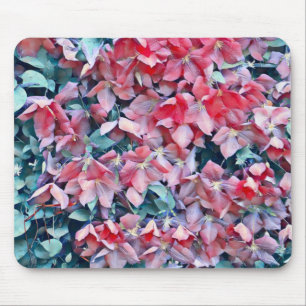 Clematis Flowers Mouse Pad