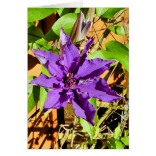 CLEMATIS GREETING CARD