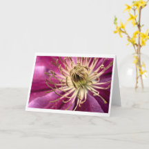 Clematis - Greeting Card