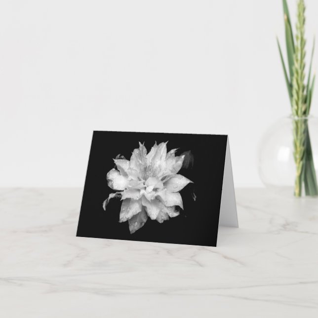 Clematis H 2 Blank Note Card Condolences Sympathy (Front)