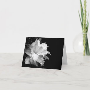 Clematis H 3 Blank Note Card Condolences Sympathy