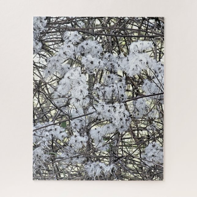 CLEMATIS  JIGSAW PUZZLE (Vertical)