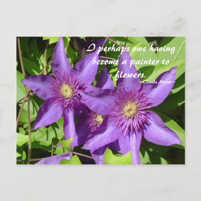 Clematis - Monet Postcard (Front)