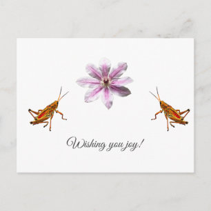 Clematis Nelly Moser. Wishing you joy! Postcard