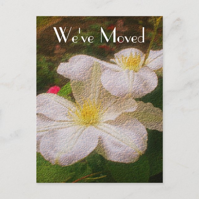 Clematis New Address Floral Art Announcement Postcard (Front)