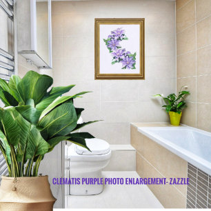 Clematis Purple Photo Enlargement Print