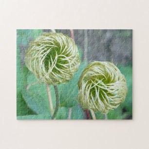 Clematis Seed Head Jigsaw Puzzle