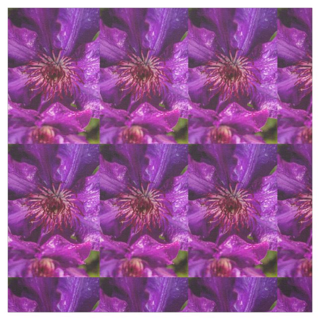 Clematis The President Fabric (Swatch)