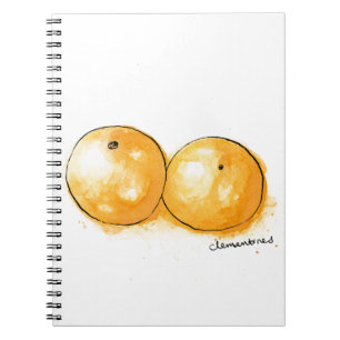 Clementines Notebook