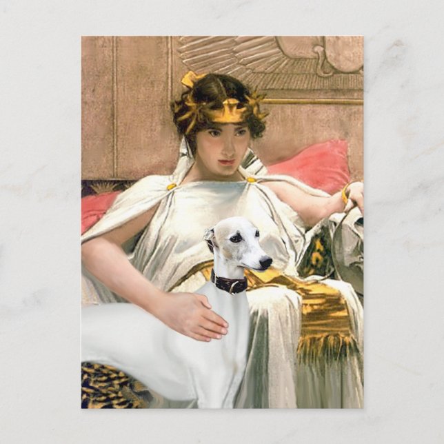 Cleopatra and White Whippet Postcard (Front)