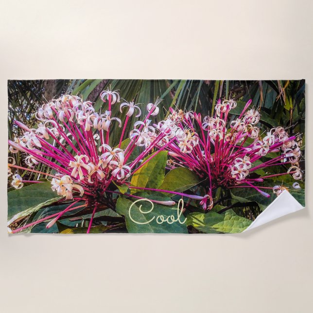 Clerodendrum Starburst Flowers Beach Towel (Front)