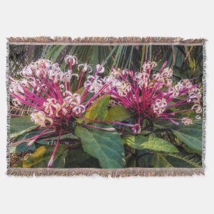 Clerodendrum Starburst Flowers Throw Blanket