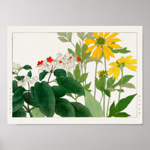 Clerodendrum thomsoniae, Rudbeckia, Tanigami Konan Poster