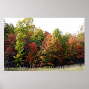 Cleveland Autumn Colours (Park) Poster