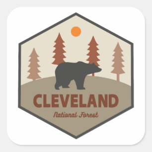 Cleveland National Forest Bear Square Sticker