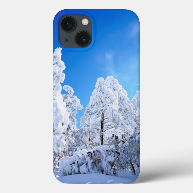 Cleveland National Forest Case-Mate iPhone Case (Back)