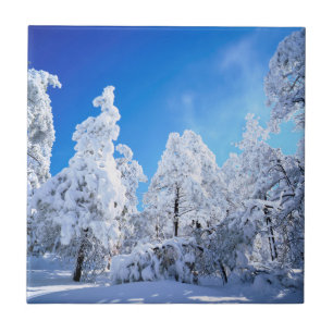 Cleveland National Forest Ceramic Tile