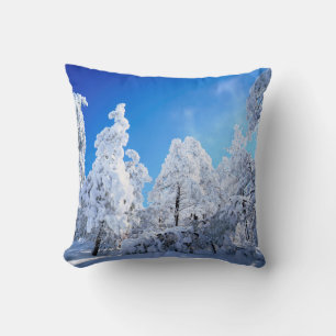 Cleveland National Forest Cushion