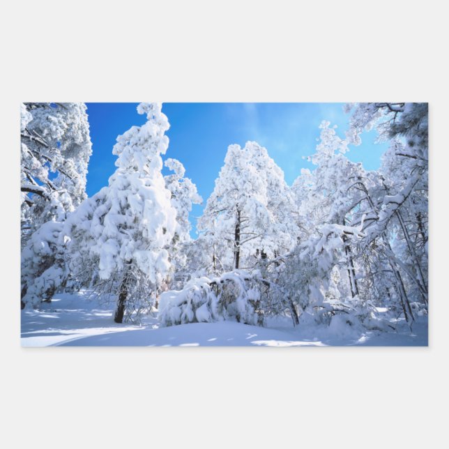 Cleveland National Forest Rectangular Sticker (Front)