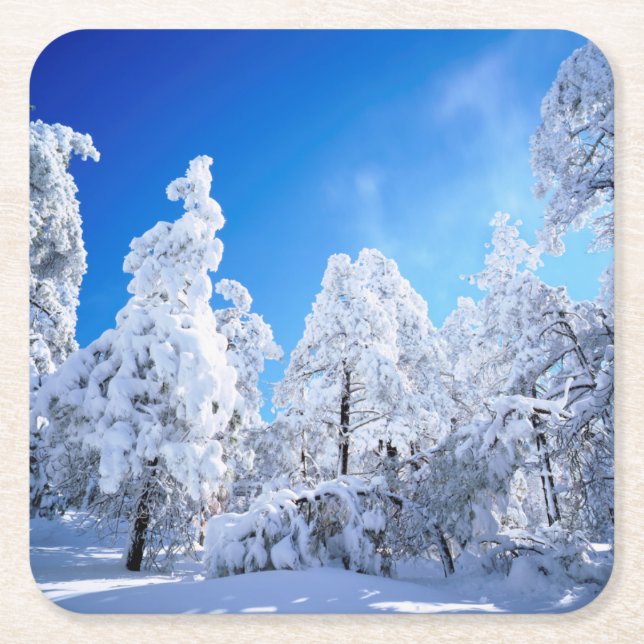 Cleveland National Forest Square Paper Coaster (Front)