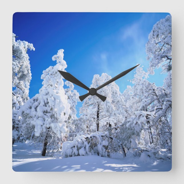 Cleveland National Forest Square Wall Clock (Front)