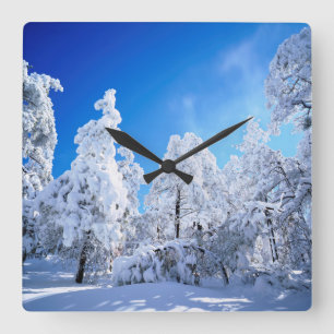 Cleveland National Forest Square Wall Clock